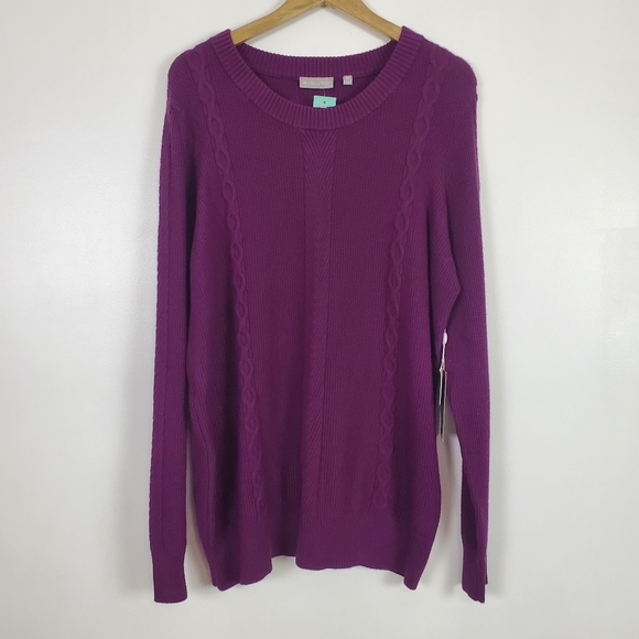 Evolution by Cyrus Sweaters - Evolution by Cyrus for Stitchfix NWT cable knit sweater